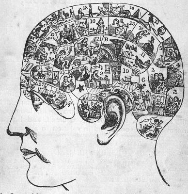 Phrenology Map